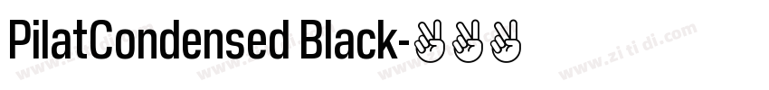 PilatCondensed Black字体转换